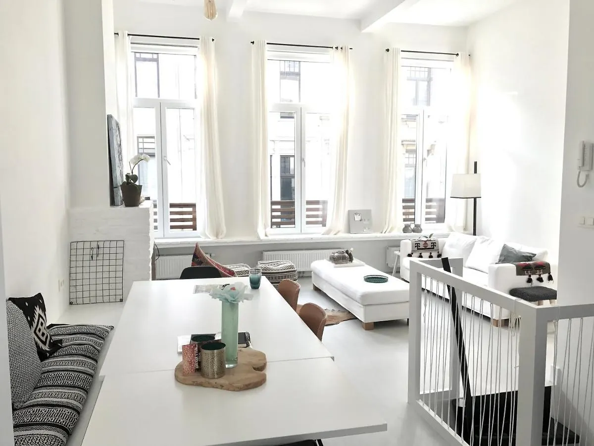 Bright City Design House! Antwerp